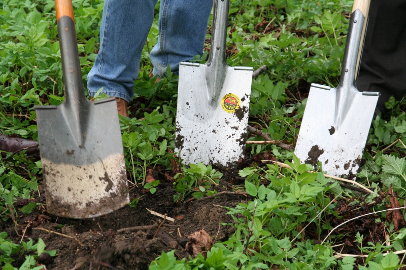 pepiniere-MOUGINS-min_work-lawn-flower-tool-green-backyard-1103633-pxhere.com